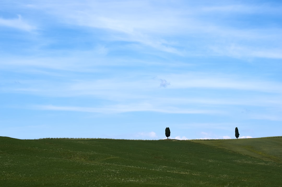 Frische und Wohlgefühl mit Pfefferminztee erleben