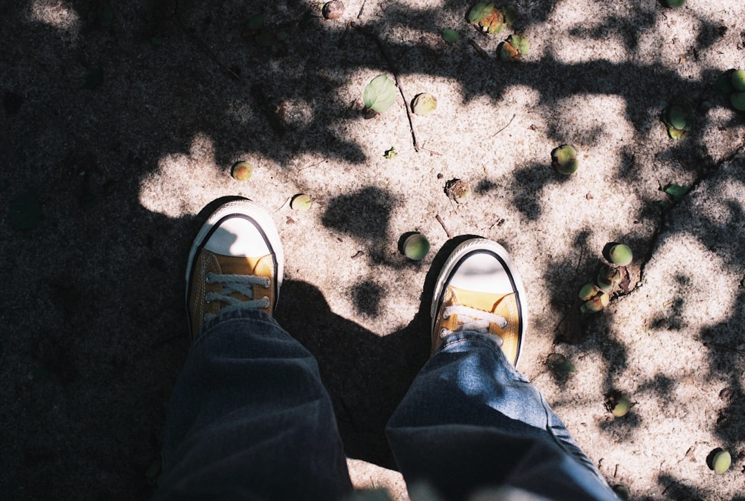 Laufenten: Nützliche Helfer auf jedem Grundstück