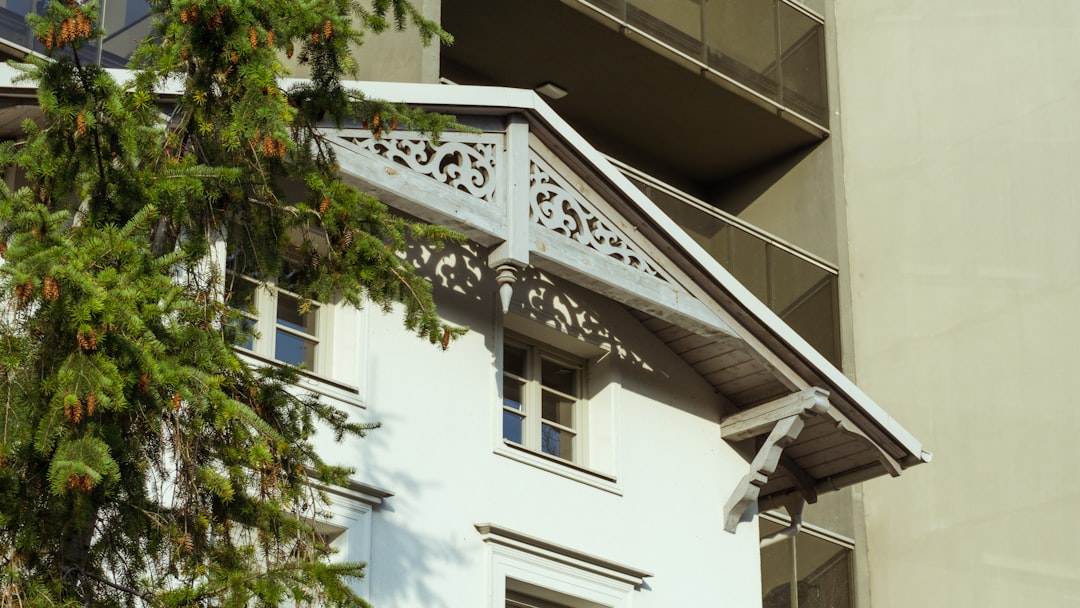 Einfach starten: Ihr Selbstversorger Balkon für Anfänger
