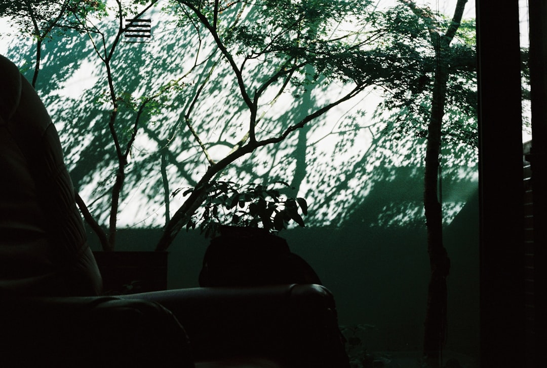 Das bewegte Liebesleben von Stefan Mross und seine Ehepartnerinnen