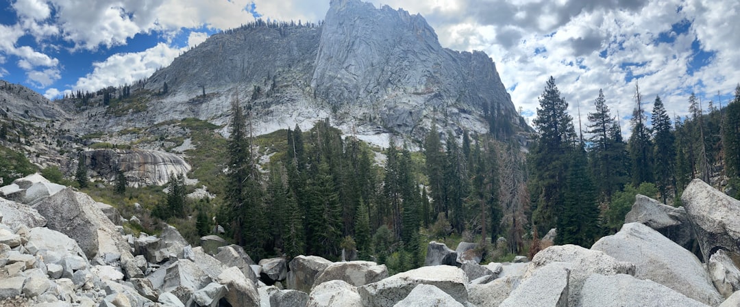 Wie Bedeutungen unseren Alltag prägen: Ein Blick auf das Wort allgemein