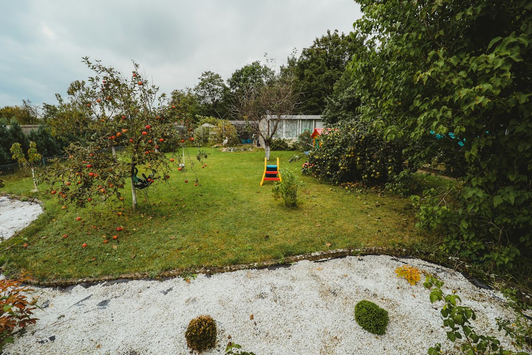 Warum heißt es Schrebergarten? De naam achter de volkstuinen