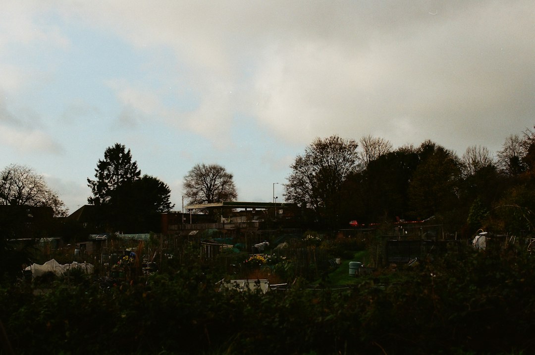 Woher kommt der Name Schrebergarten? De oorsprong uitgelegd